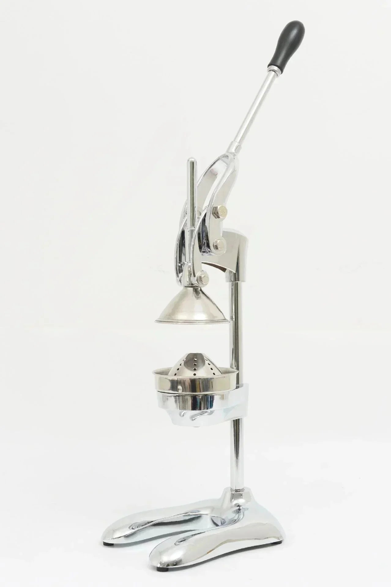 DualPress™ – Manual Fruit & Herb Juicer